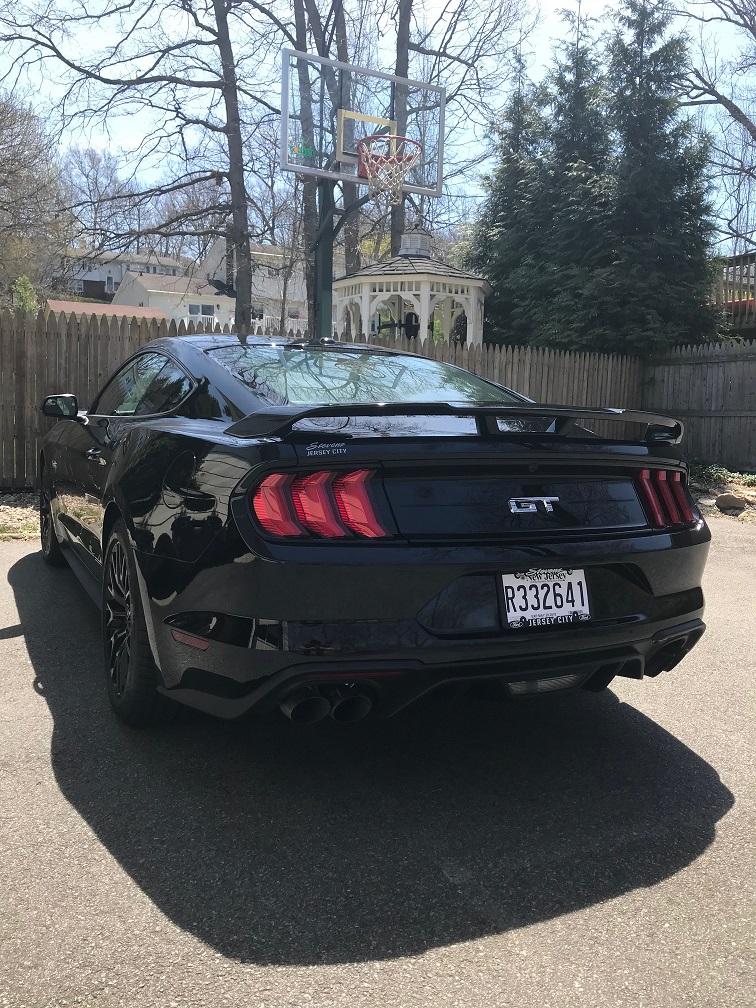 stang2.jpg
