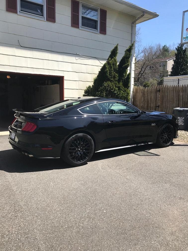 stang3.jpg