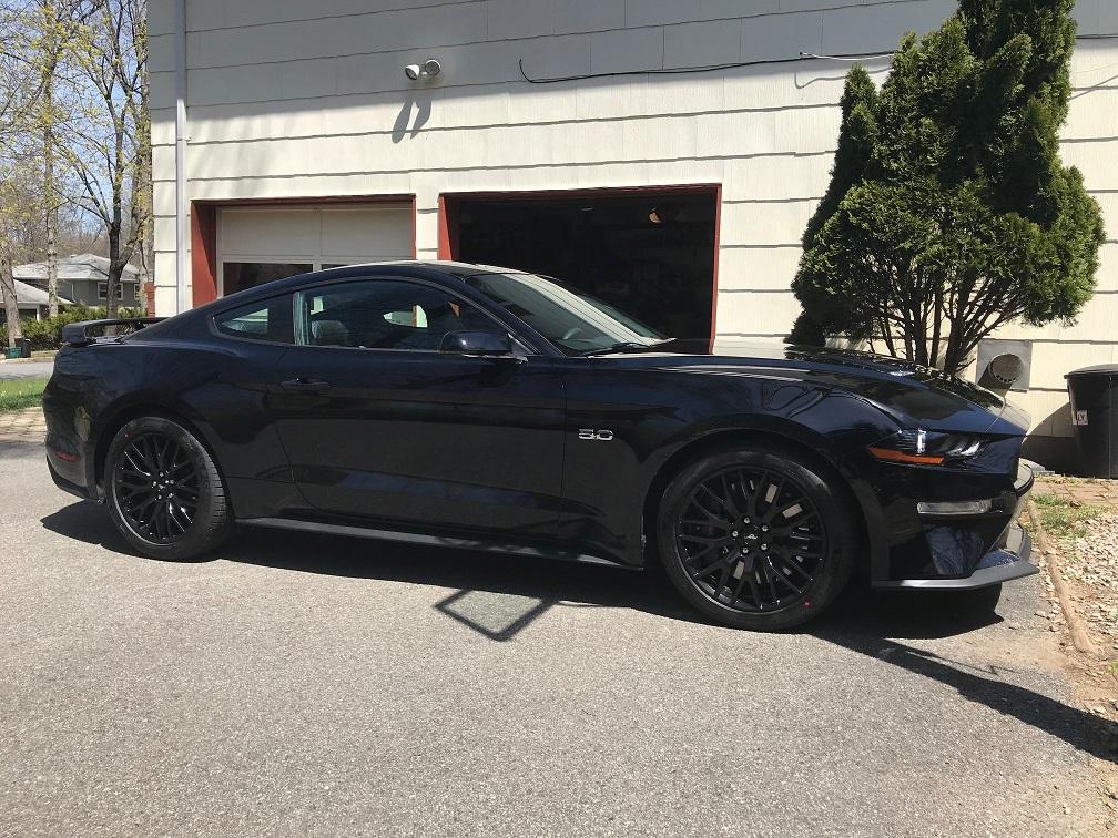stang4.jpg