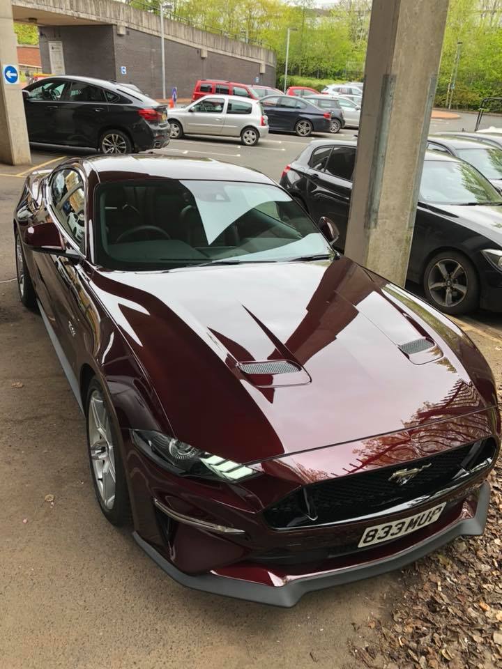 Royal Crimson UK 1.jpg