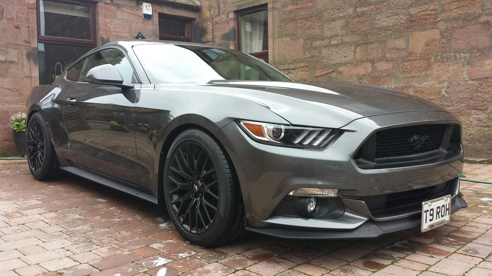 stang drive.webp