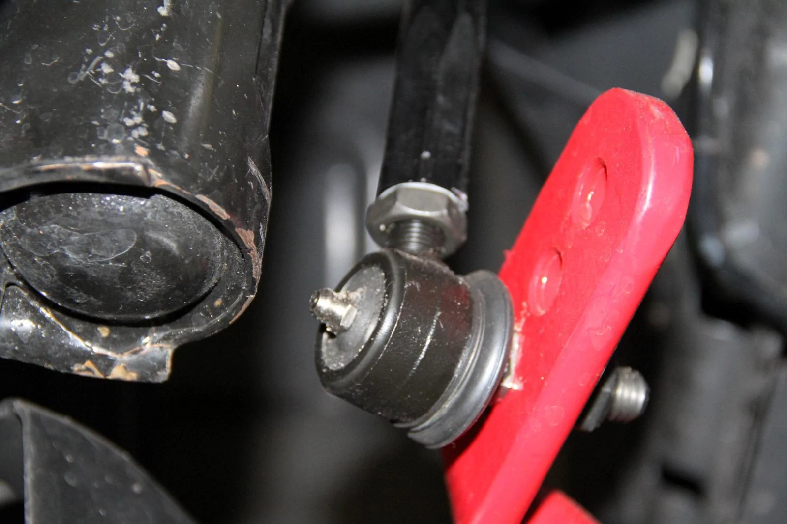 ELK013_image5_large.webp