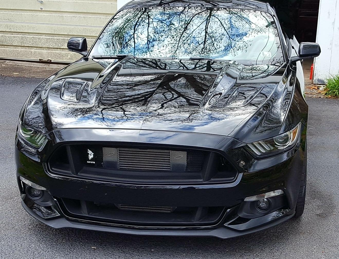 20180509_233734.jpg
