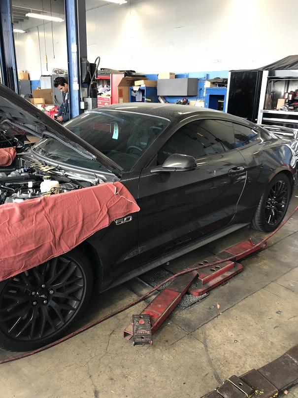 at dealer 9 small small.jpg