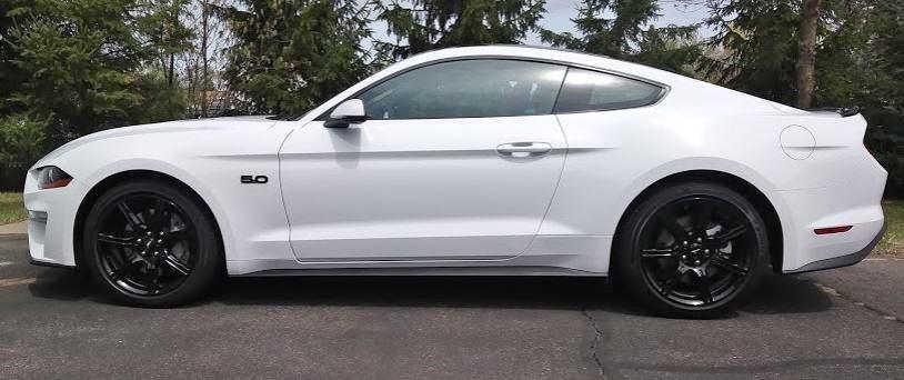 Mustang3.JPG