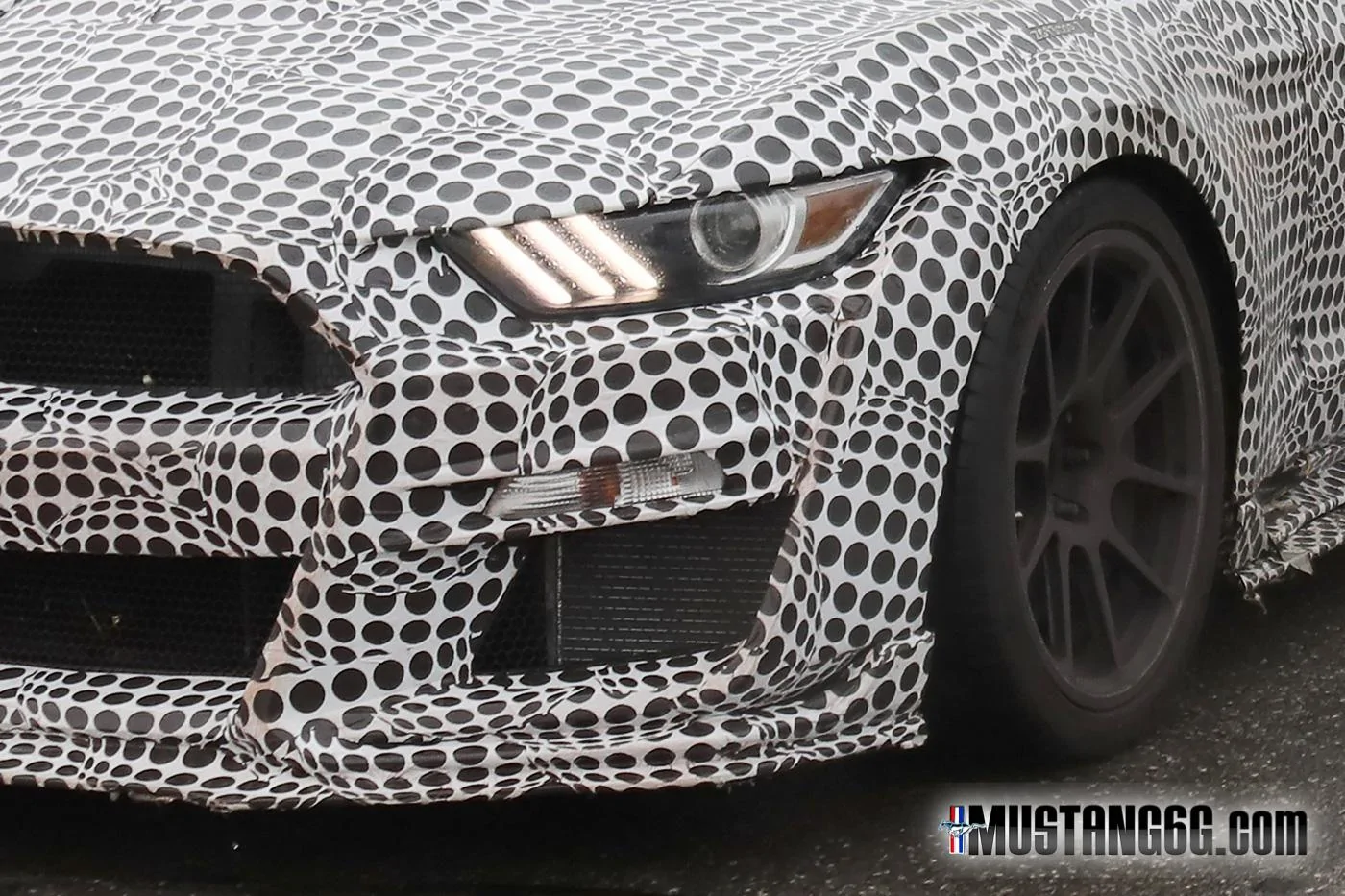 2019-2020-GT500-Ford-Mustang9.webp
