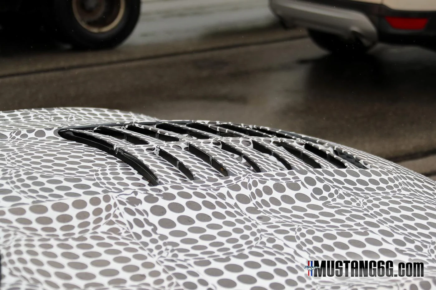 2019-2020-GT500-Ford-Mustang20.webp