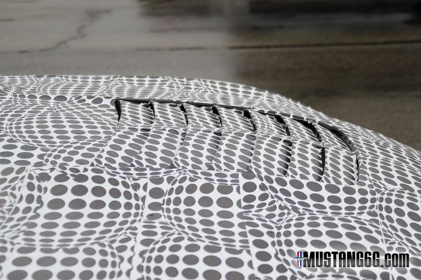 2019-2020-GT500-Ford-Mustang21.webp