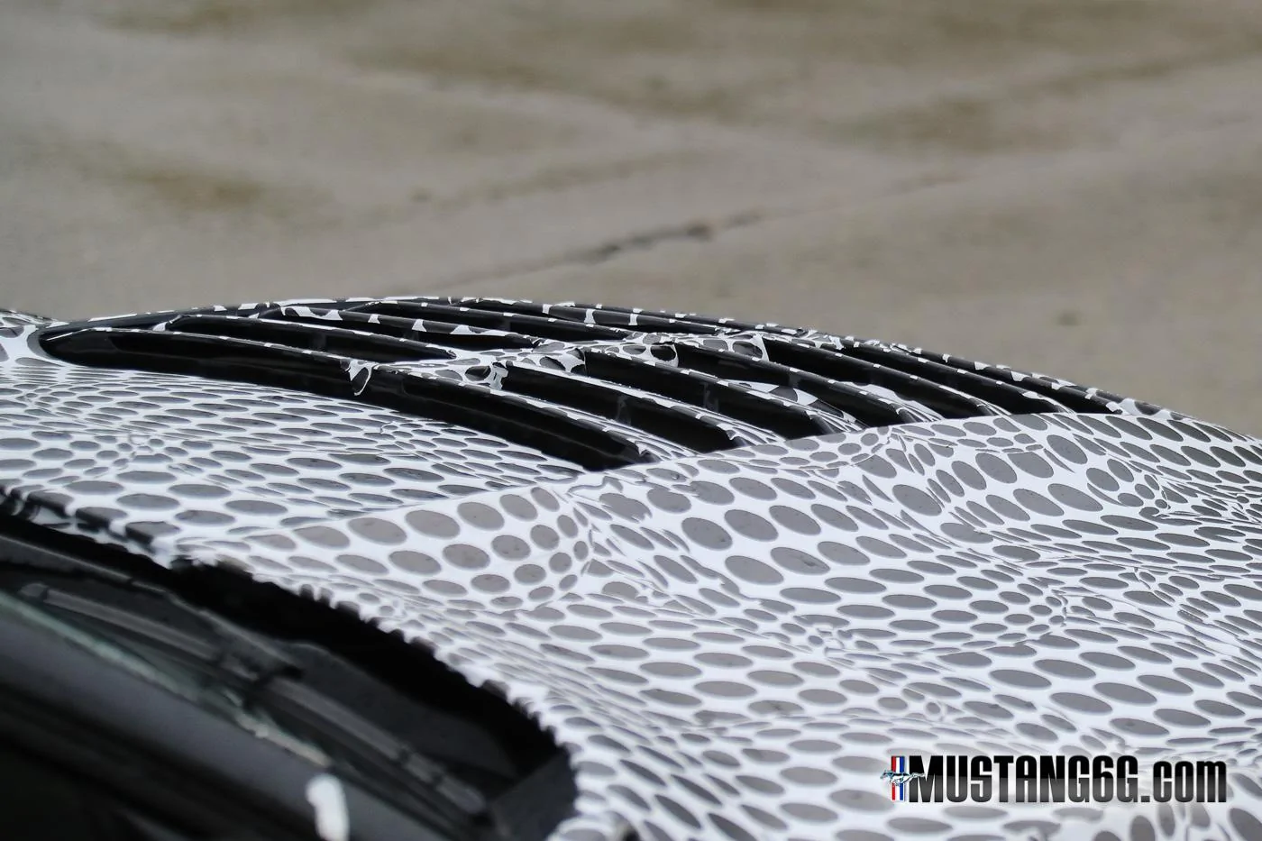 2019-2020-GT500-Ford-Mustang1.webp