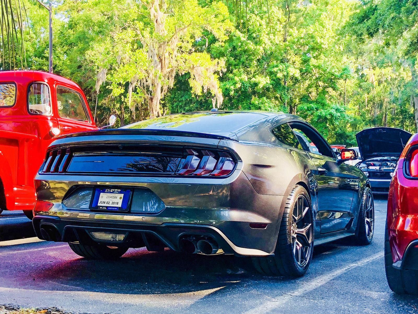 mustang 10.jpg