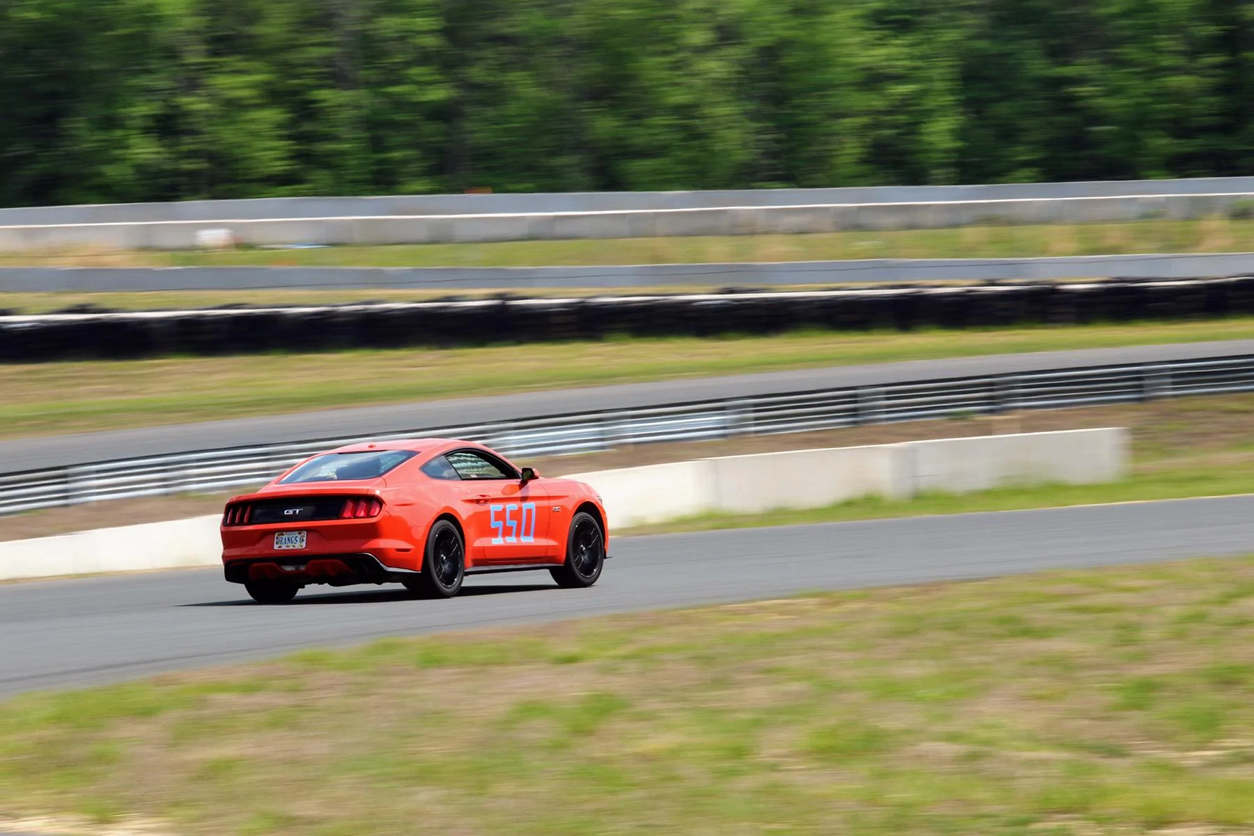 IMG_0781-01.webp