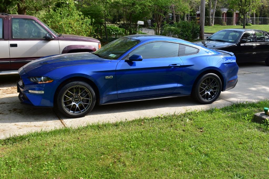 MUSTANG 3 (1024x683).jpg