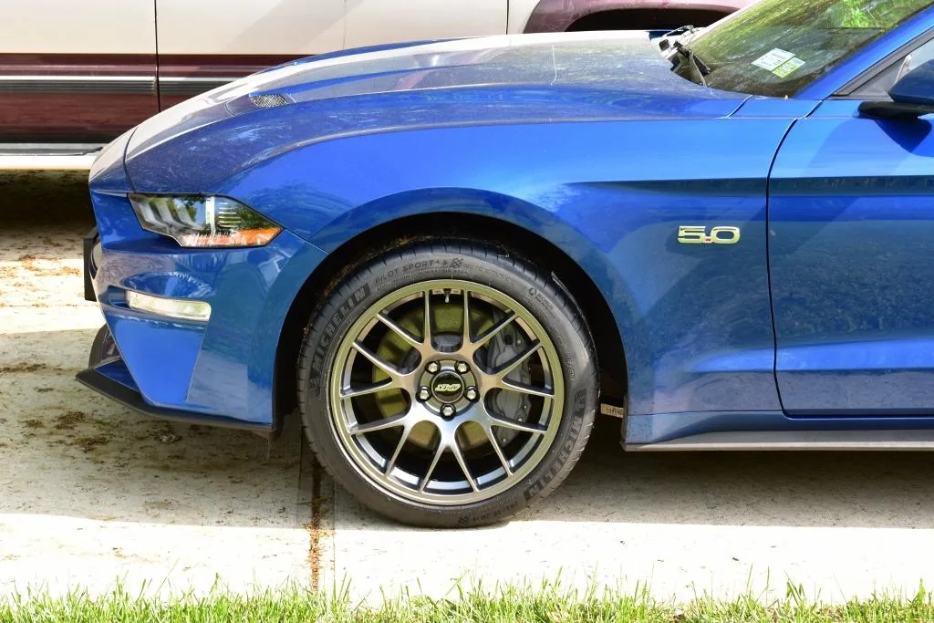 MUSTANG 4 (1024x683).webp
