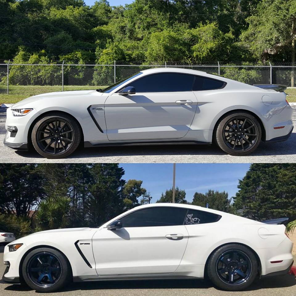 GT350 MR Cars.jpg