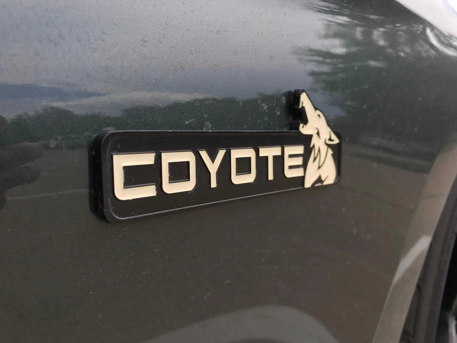coyote1.webp