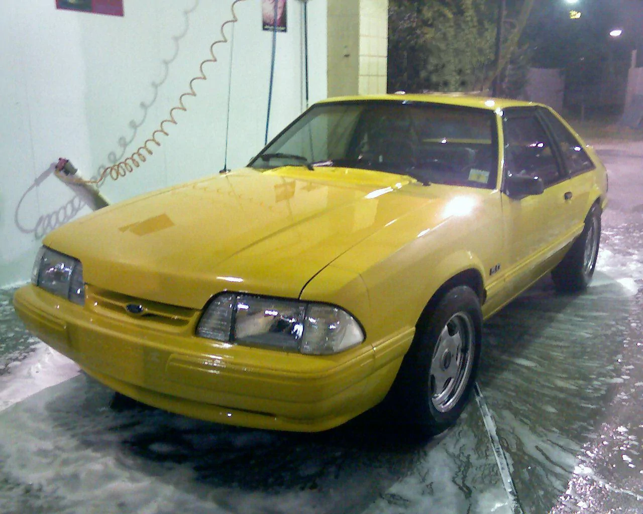stang1.webp