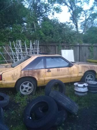 stang.jpg