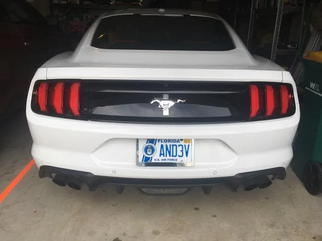 GT Pony - 1.webp