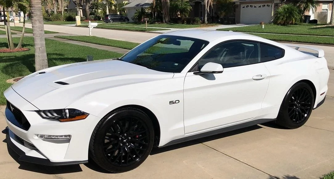 New_car (2).webp