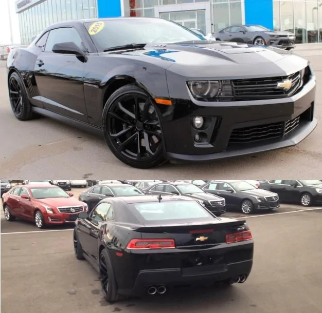 ZL1.webp