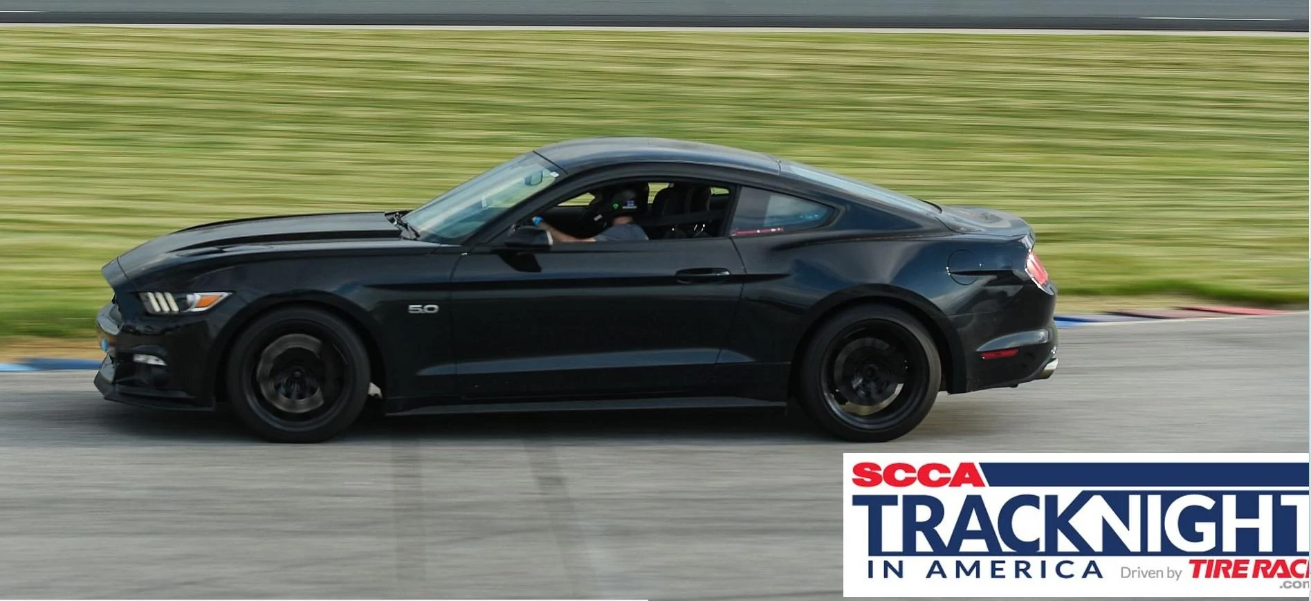 stang5.webp