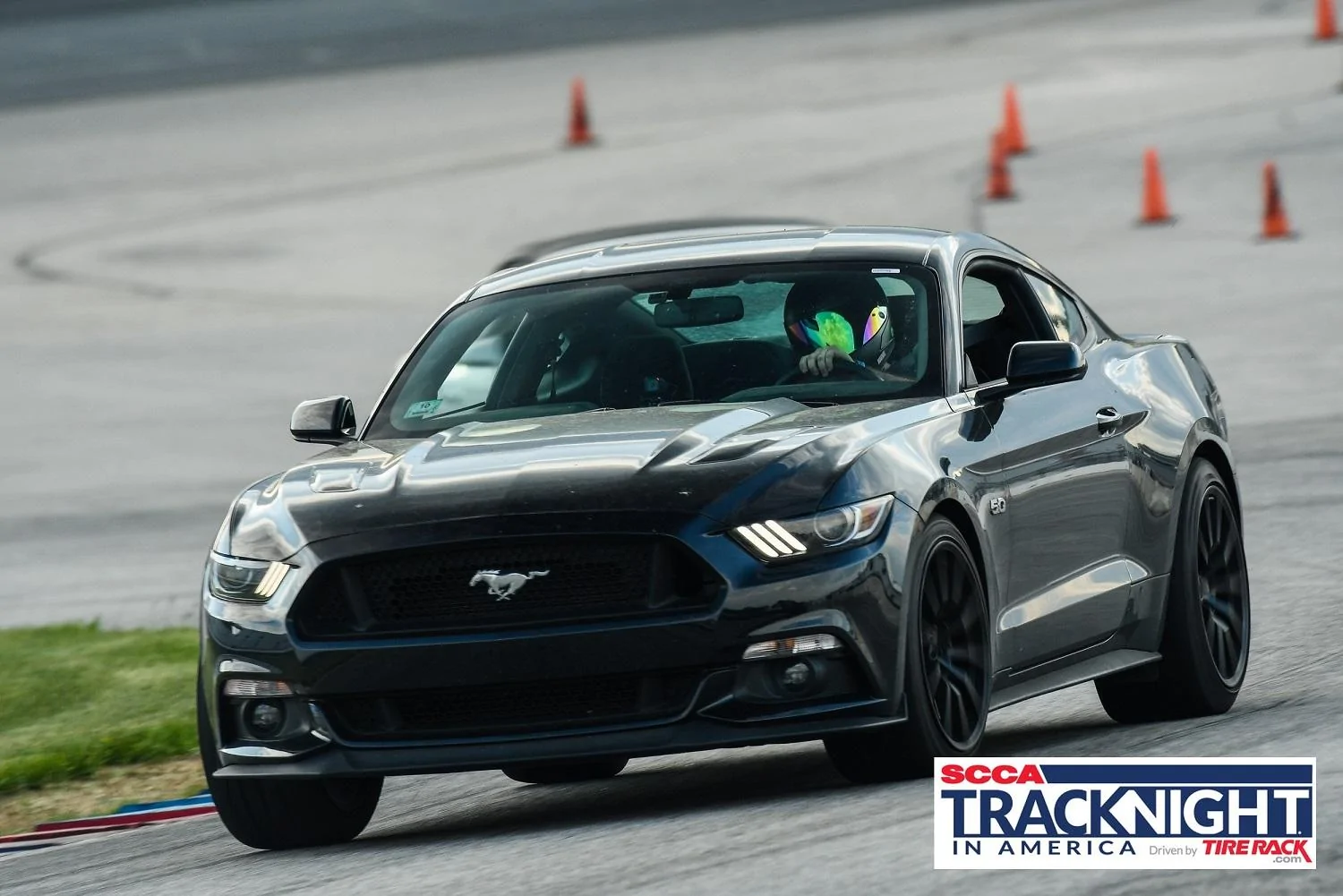 stang8.webp