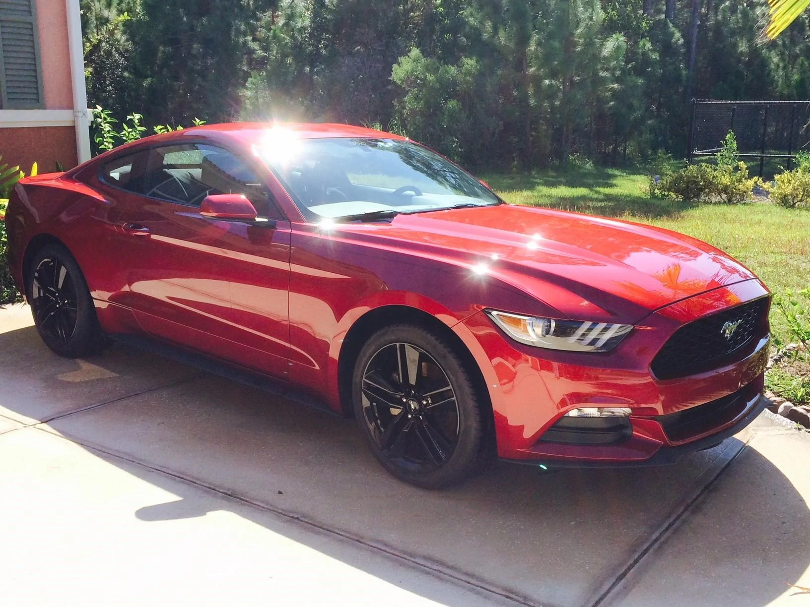 Mustang with Eboost PP Wheels.webp