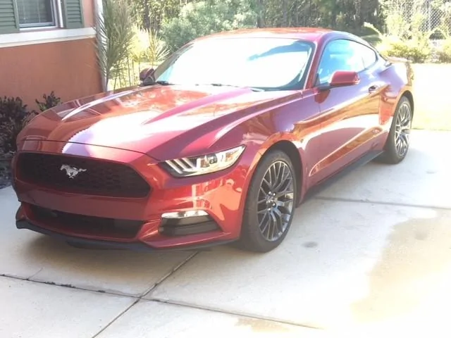Mustang and GT PP Wheels.webp
