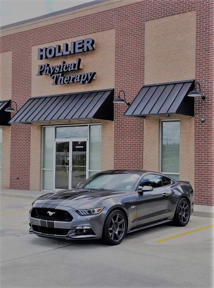 Hollier Stang2.jpg