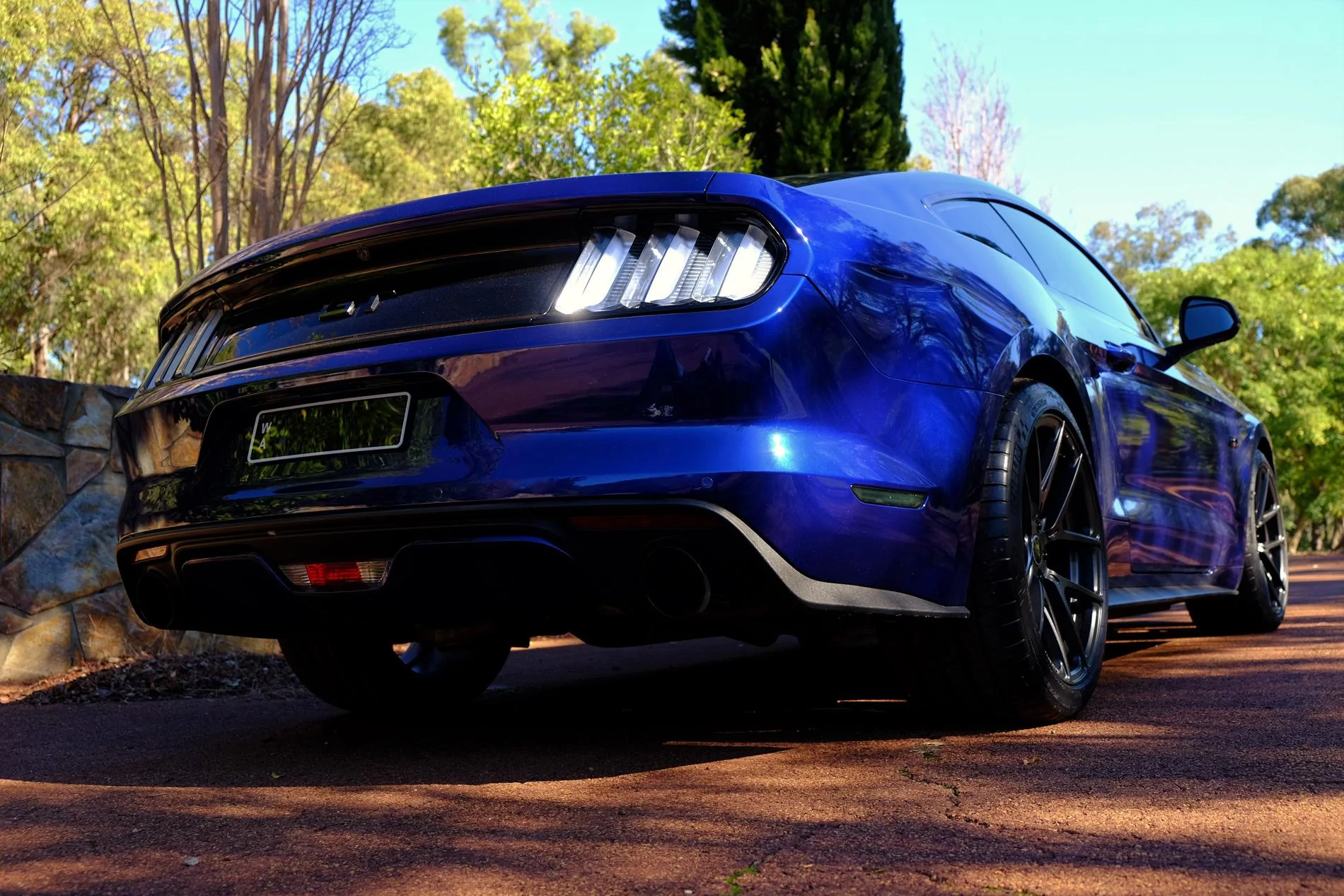 DSCF2498.webp