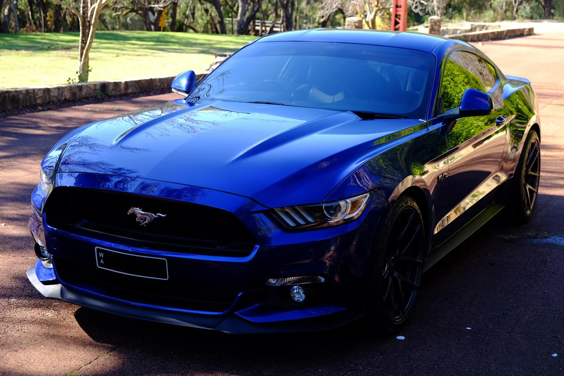 DSCF2521.webp