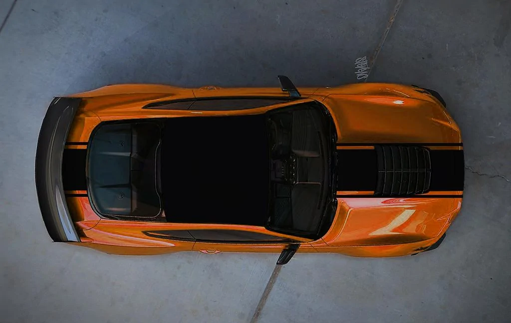 Orangefury black roof snake.webp