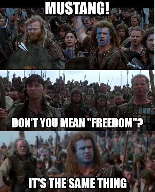 MUSTANG-FREEDOM.jpg