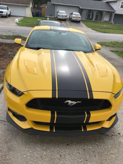 stang1.jpg