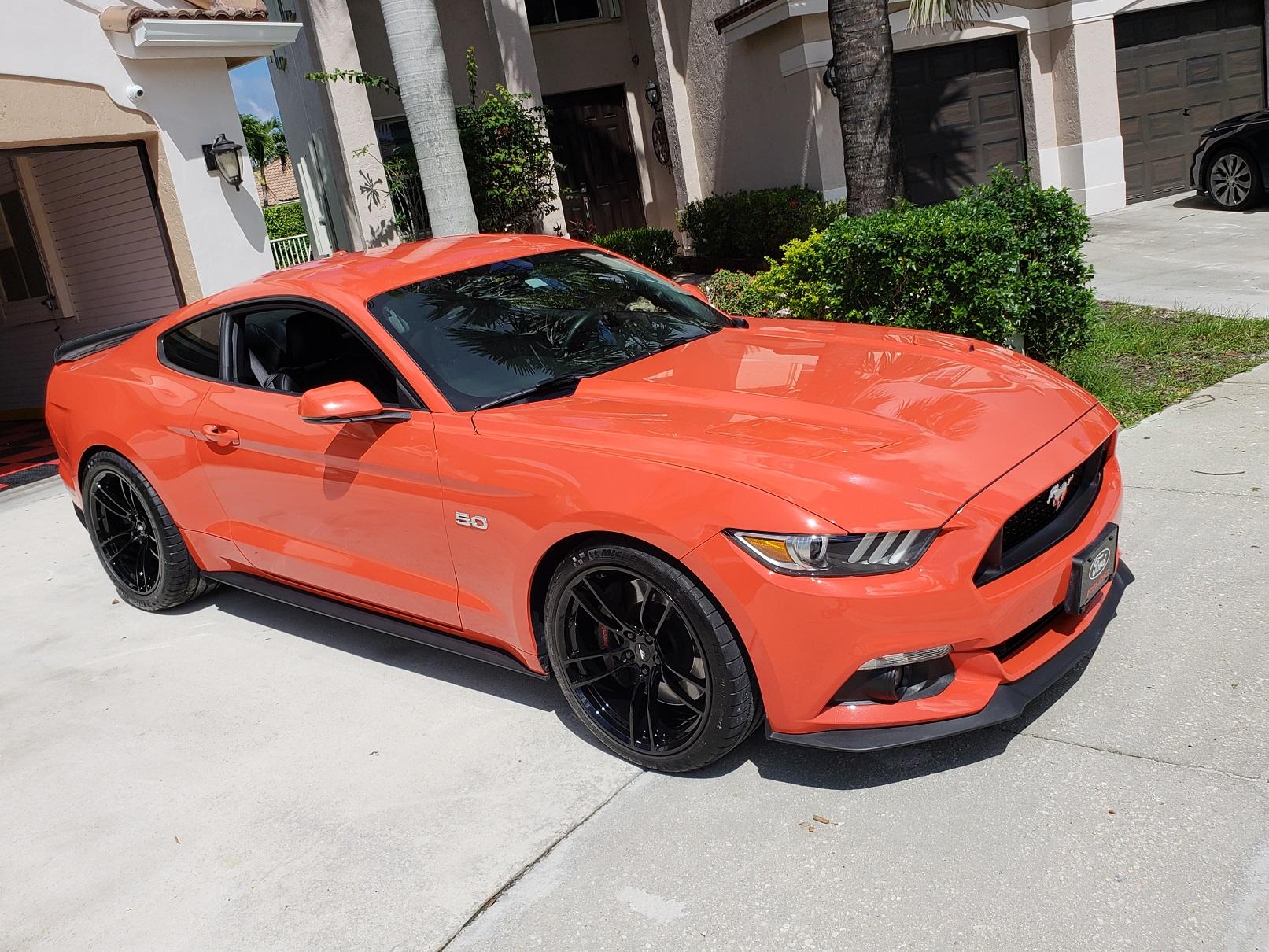 Mustasng Side Shot.jpg