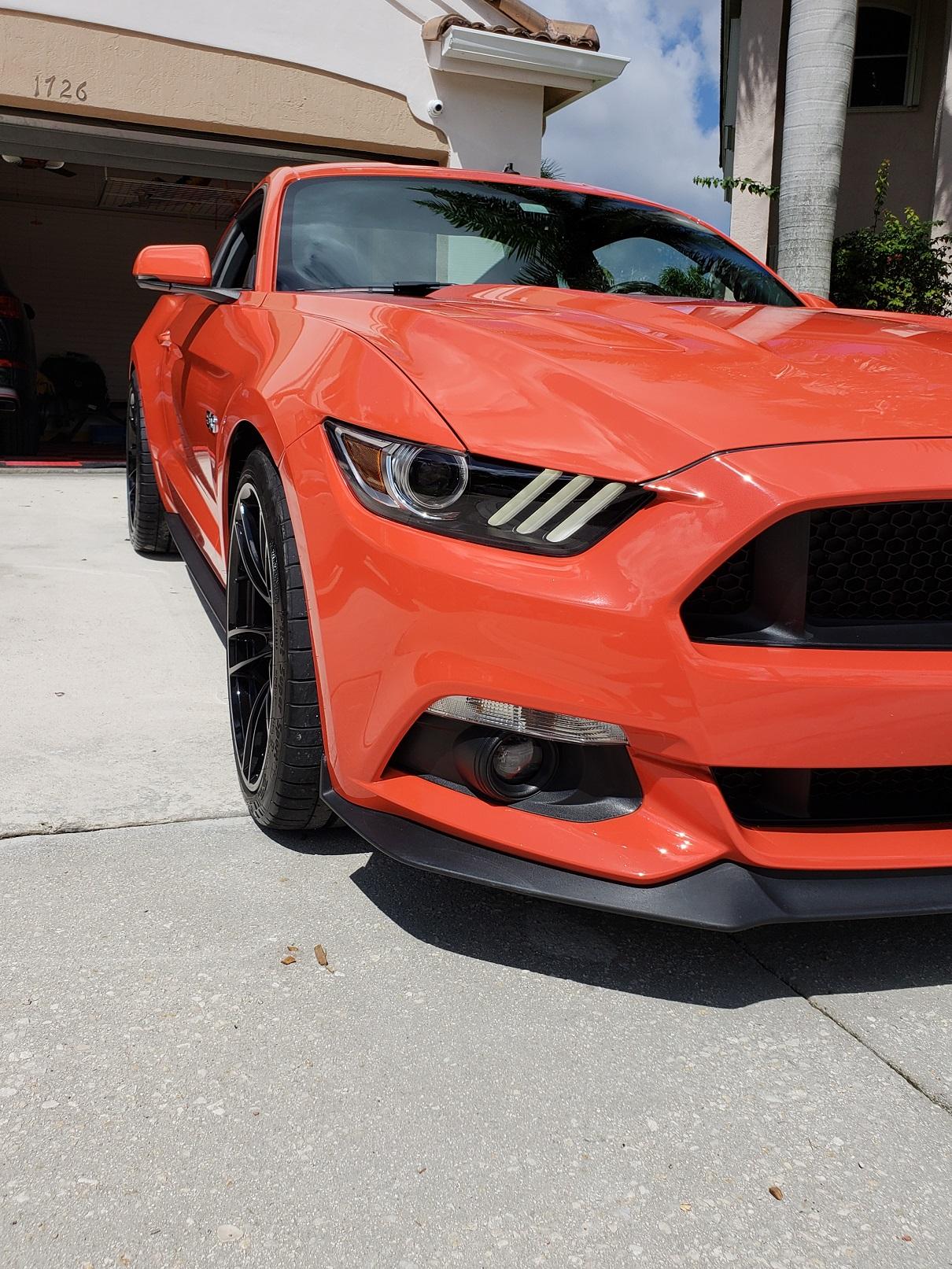 Mustang Stance.jpg