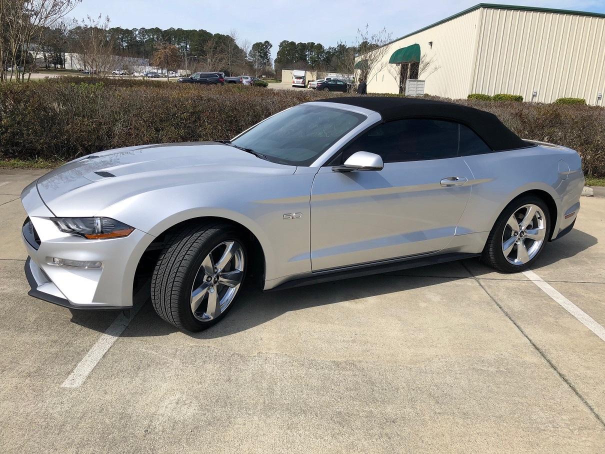 Mustang-small.jpg