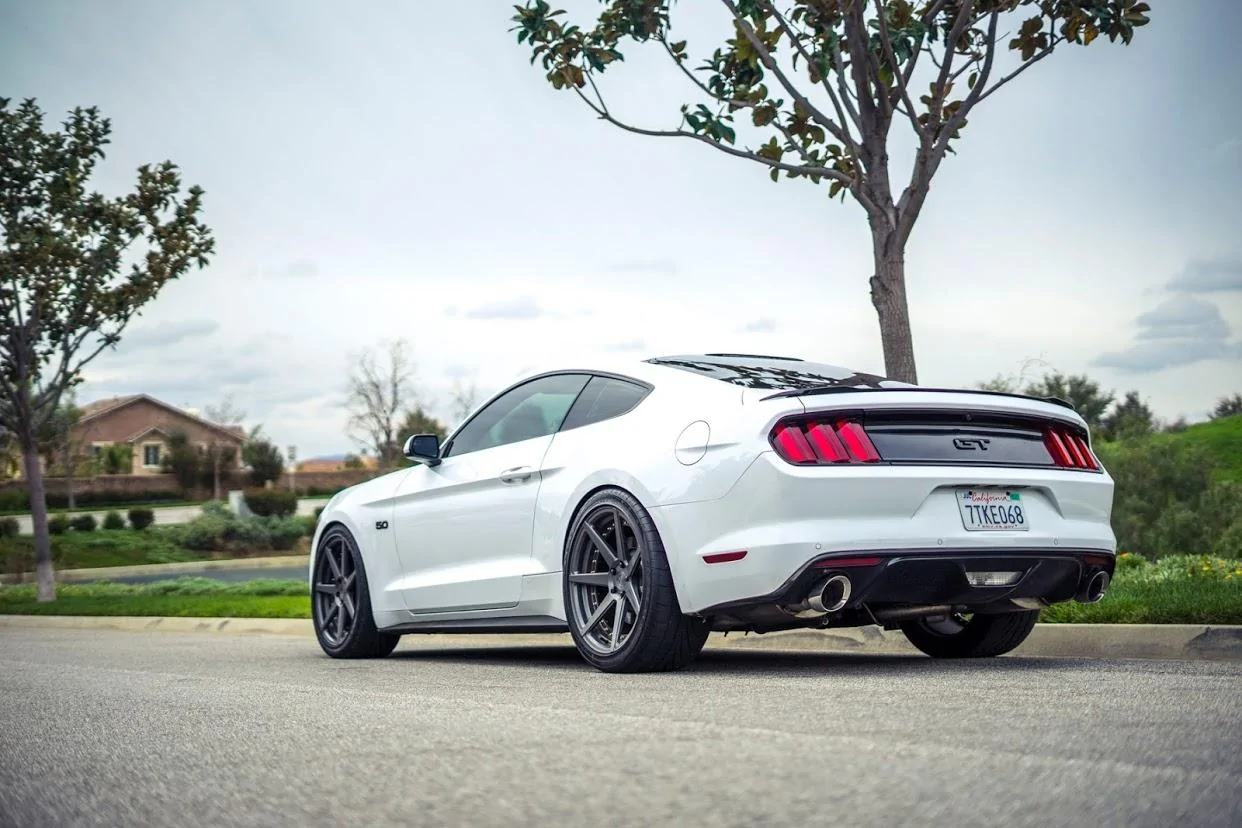 mustang 2 (2).webp