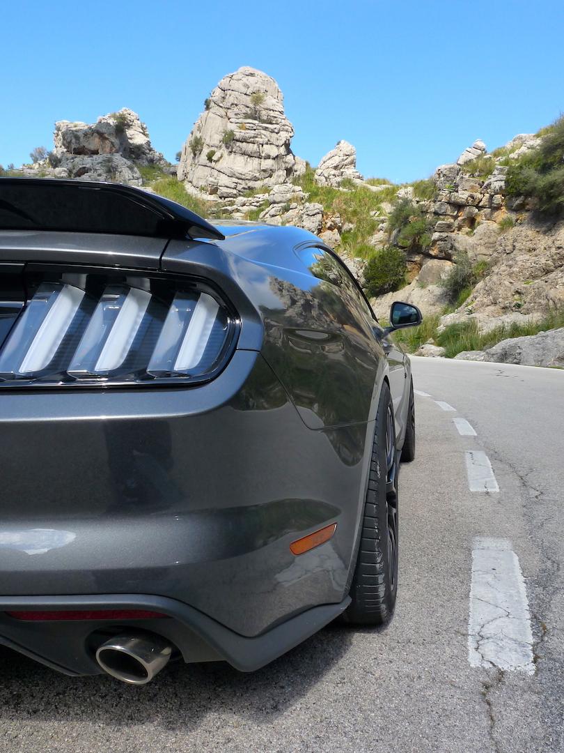 rear.JPG