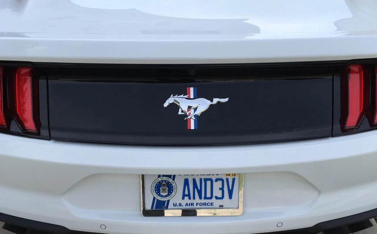 GT Pony - 1 (3).webp