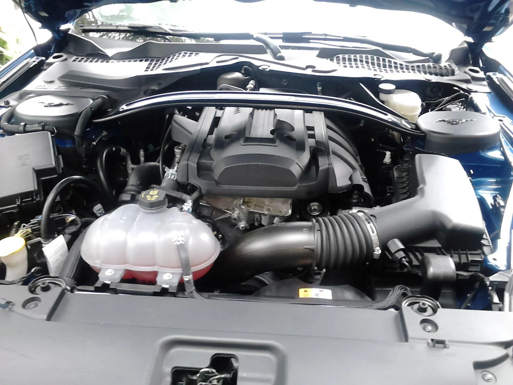engine-resize.webp
