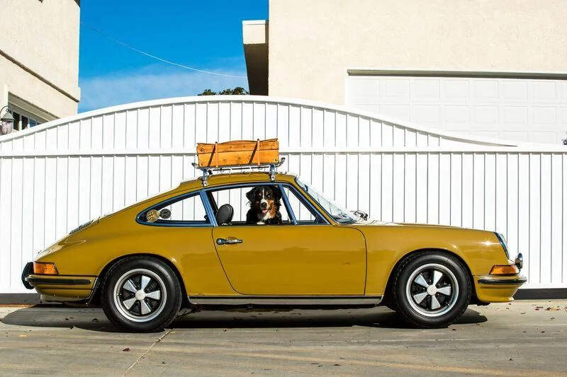 OLIVE_PORCHE005.webp