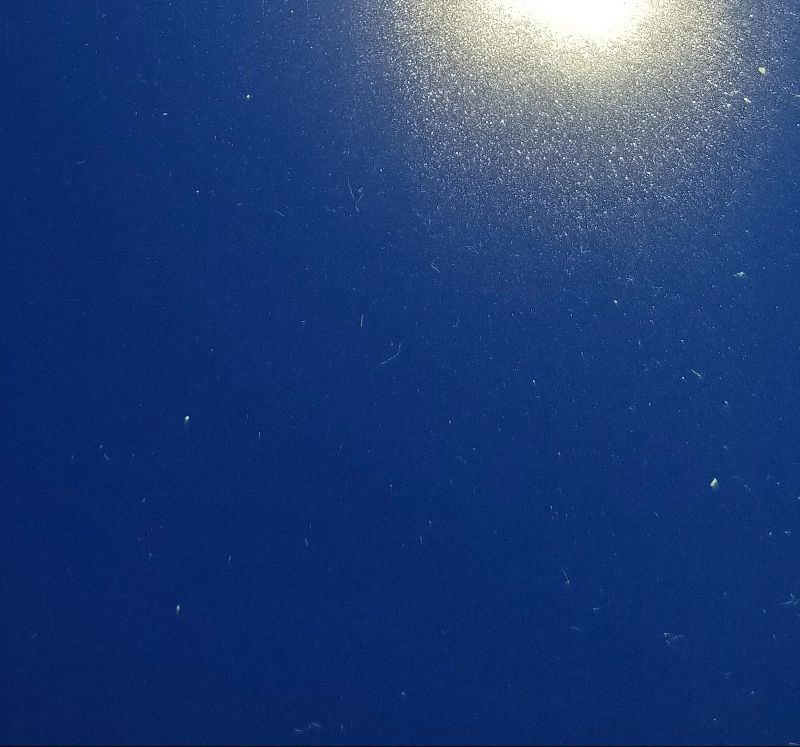 20180619_211855.webp