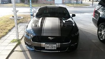 Mustang1.webp