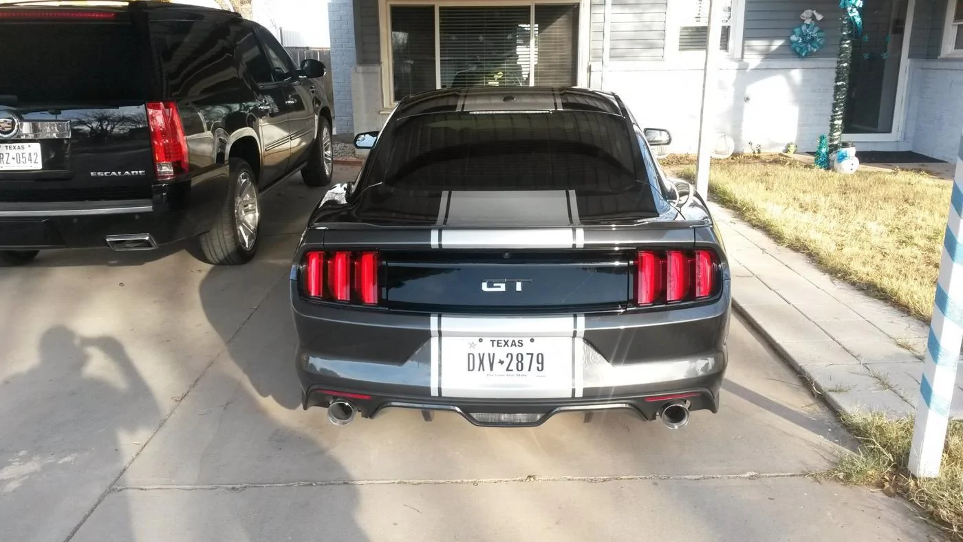 Mustang2.webp