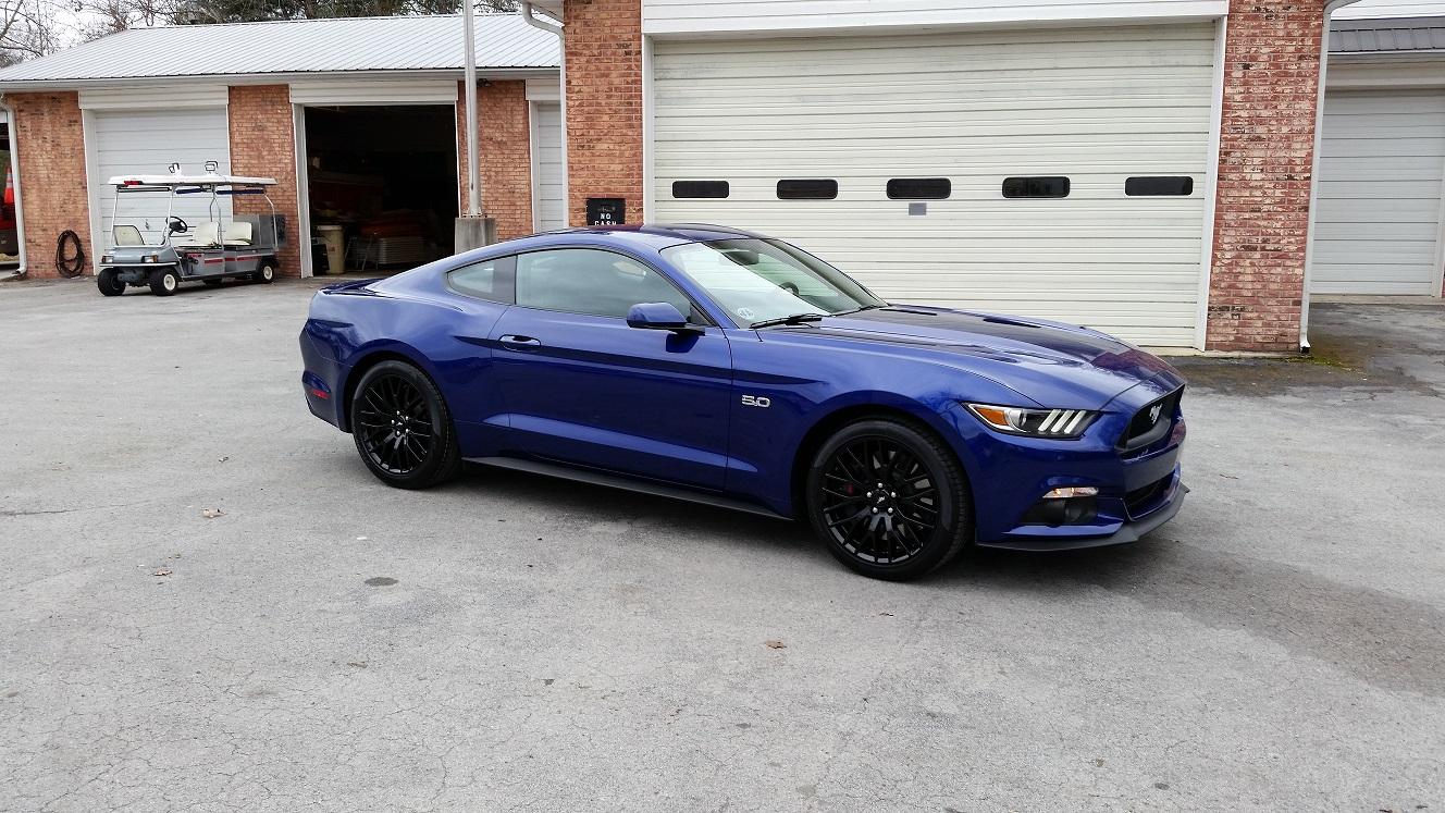 Mustang.jpg