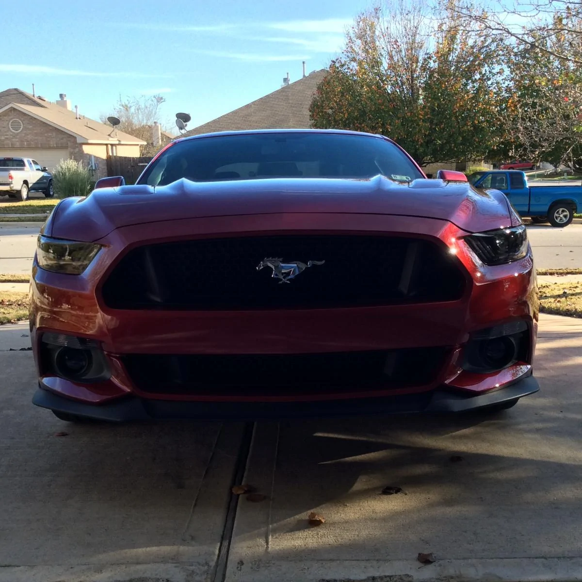 Ruby - tinted headlights.webp
