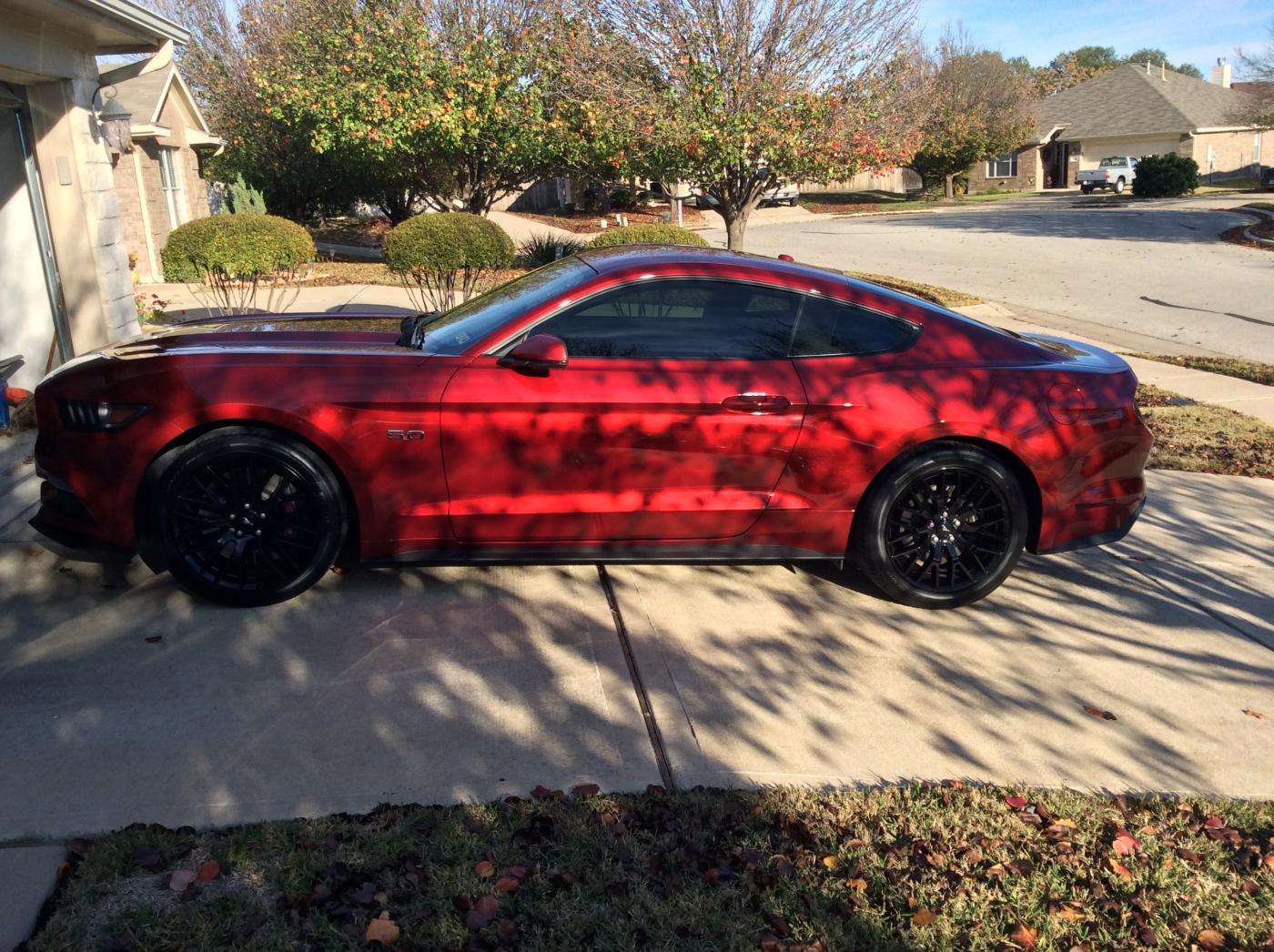 Ruby - tinted windows.jpg