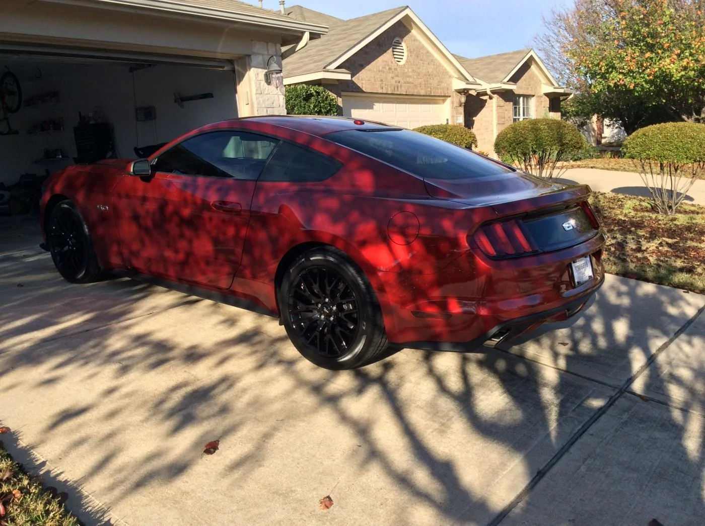 Ruby - tinted tail lights 2.webp