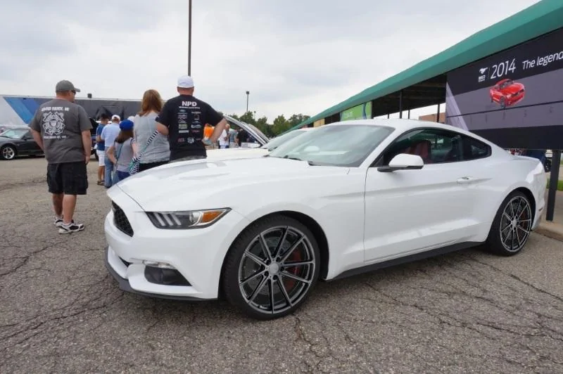 white bathurst tsw.webp